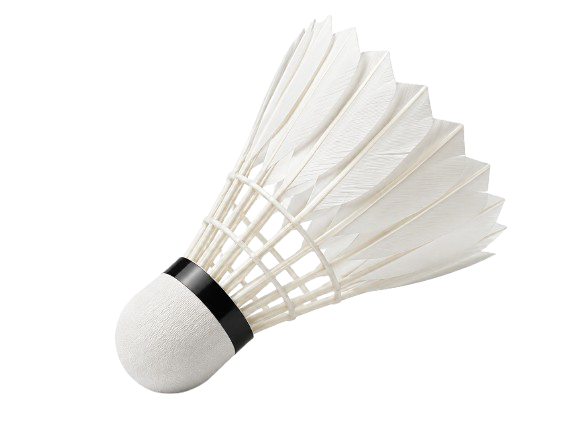 Badminton Shuttle